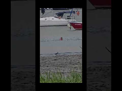 Vc viu o que eu vi? Entao Veja de novo... #misterio