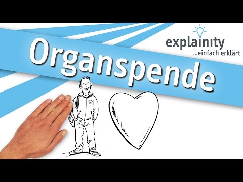 Organspende – einfach erklärt