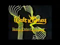 Walt Disney Home Entertainment 1964 1981