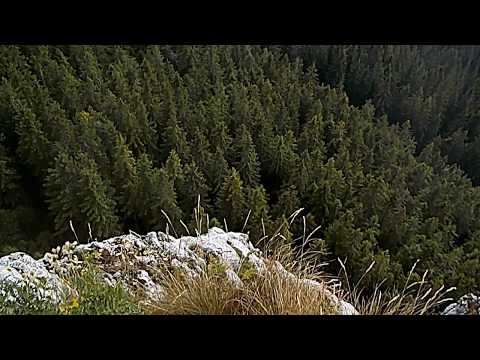 De pe Piatra Soimului
