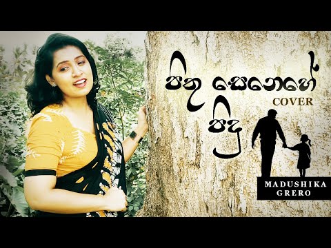 Pithu senehe pidu | පිතු සෙනෙහේ පිදු | Cover Song | by Madushika Grero #trending #song #father