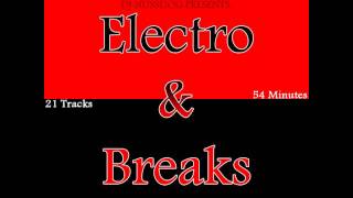 Dj Nussdog - Electro and Breaks 2013
