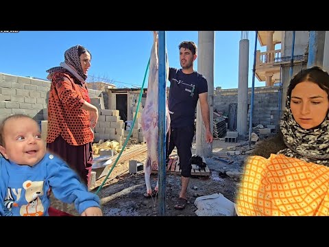 One Day with Hamid’s Family ❤️🏡 | Pediatrician Visit & A Special Family Moment 👶👨‍⚕️