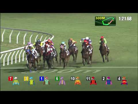 29/6/2022 (781) Cordyceps One - R Maia