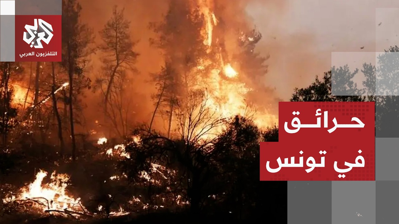 فرق الإطفاء التونسية تواصل عمليات إخماد الحرائق التي اندلعت بجبل برقو في محا