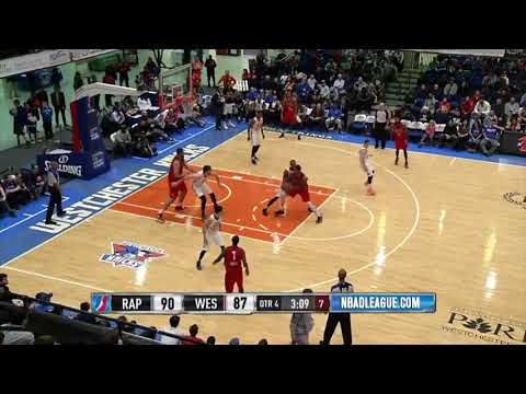 Axel Toupane - G League Raptors 905 Highlights 2015-2017