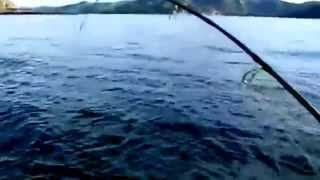 preview picture of video 'Angeln mit VV Fishing am Namsenfjord in Norwegen -  Teil 5'