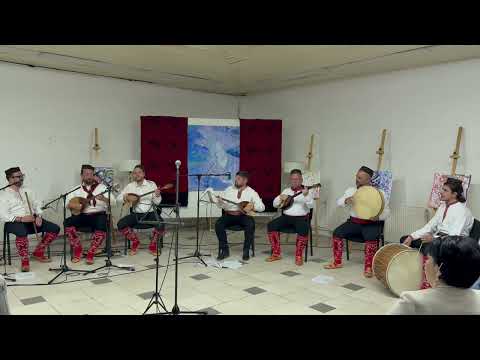 Gajtan oro - Orchestra Aleksandar