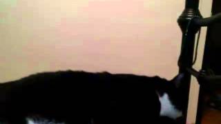 BOYS DON'T CRY- THE CURE