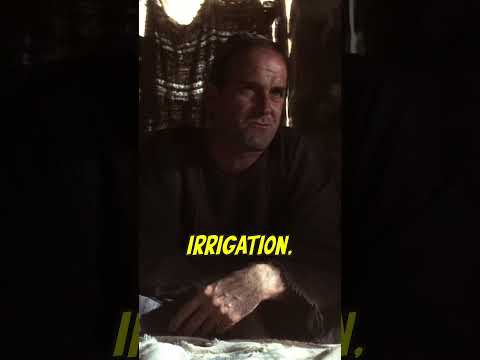 What have the Romans ever done for US? | Monty Python #movie #montypython #comedy