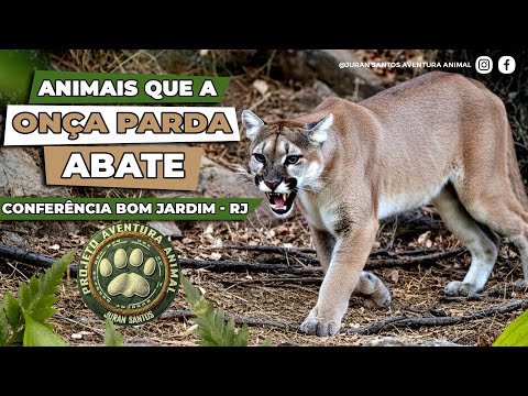ANIMAIS QUE A #ONÇA_PARDA #ABATE EM SEU #TERRITÓRIO - CONFERÊNCIA BOM JARDIM - RJ