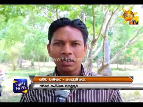 Hiru CIA | 2017-08-16