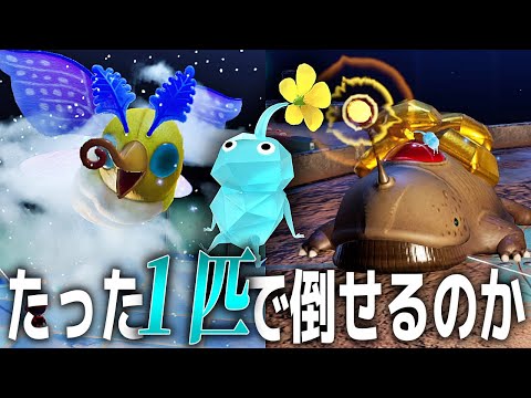 【ピクミン1匹チャレンジ】たった1匹のピクミンでボスが倒せるのか シラユキアゲハとタカラサンショウ編【ピクミン4】