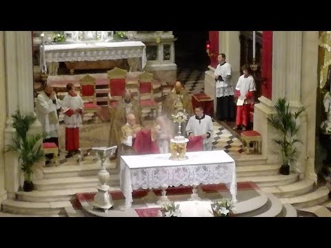 Primi Vespri solenni di San Martino in Alzano - 10/11/2017