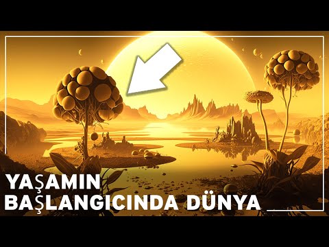 Yaşamın Kökeninin Sırları: Her Şey Nasıl Başladı? | Dünyanın Belgesel Tarihi