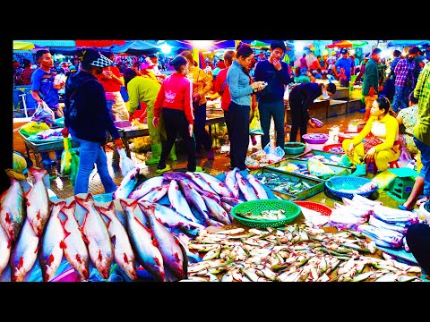 Early Morning Chbar Ampov Fish Market Scene - Plenty Fish, Alive Fish, Seafood, Frog & More