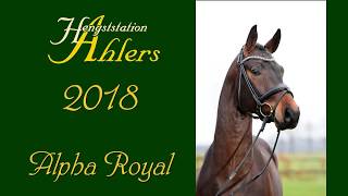 Video koně Alpha Royal