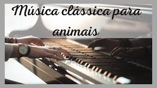  MUSICA CLSSICA PARA ANIMAIS - AO SOM DE PIANO 