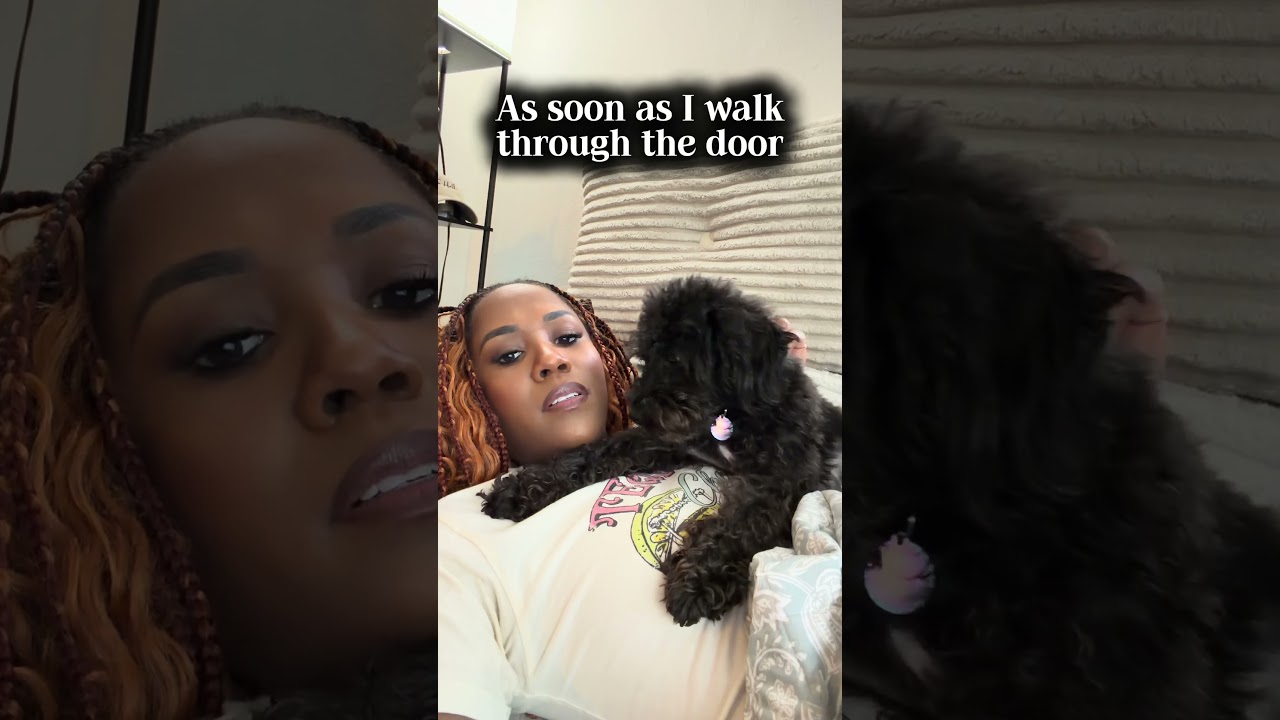 We both exhausted 😂 #dogshorts #dogmom #rescuedog