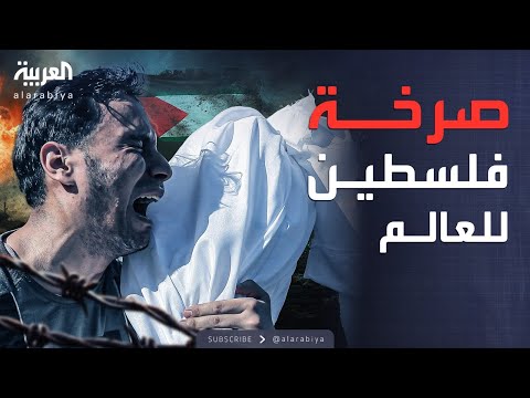 فيديو | دعوة فلسطينية عاجلة لتدخل دولي يوقف المجازر في غزة