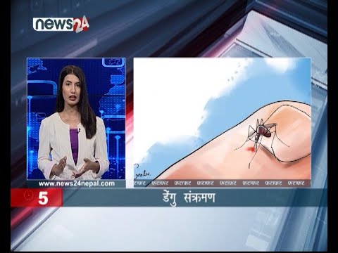 AFTERNOON NEWS FATAFAT - NEWS24 TV