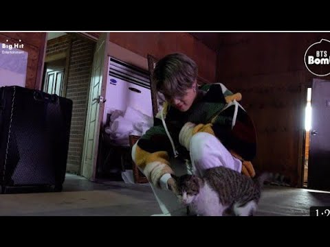 [Bangtan Bomb](eng sub) You have a meow - sitor (BTS)