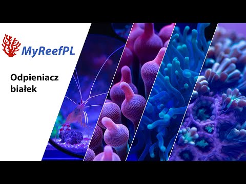 Montujemy odpieniacz  białek @myreefpl