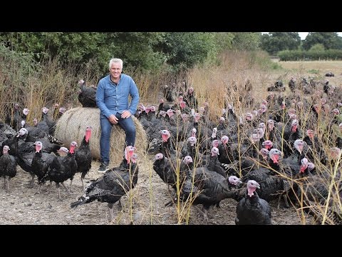 download lagu mp3 mp4 Organic Sugar Uk, download lagu Organic Sugar Uk gratis, unduh video klip Organic Sugar Uk