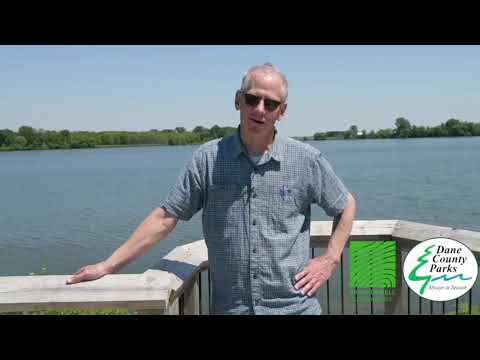 Conservation Corner: Protecting Patrick Marsh