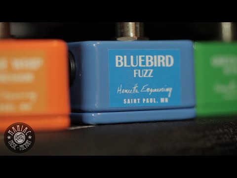 Bluebird Fuzz by Henretta | RockBoard
