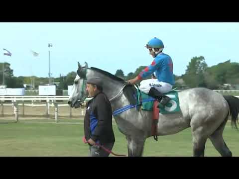 SINT PAYSANDU - 220513 c03  - 1° HORIZONTE