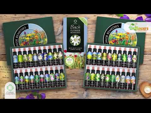 FloraisParteCreatures