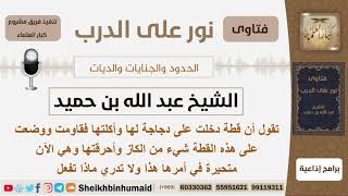 صورة ماذا تفعل من أحرقت قطة لأنها أكلت دجاجة لها؟ الشيخ ابن حميد - مشروع كبار العلماء