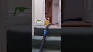 Album cover: Upholstery Cleaning