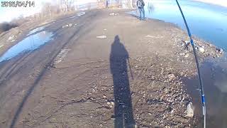 Рыбалка в самарской области и самаре