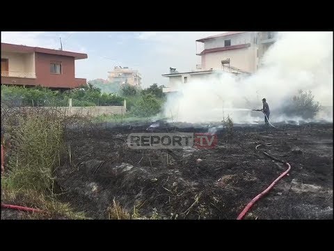 Report TV - Fier, banori po digjte disa shkurre, zjarri rrezikon banesat, ndërhyjnë zjarrëfikset