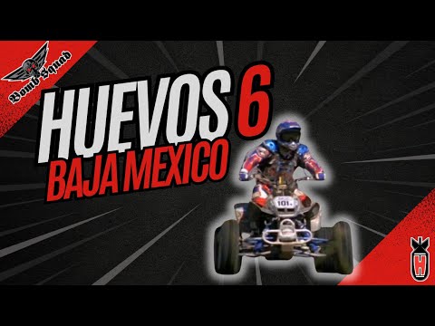 Huevos 6 BAJA MEXICO