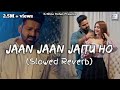 Jaan Jaan Jaitu Ho (Slowed Reverb) | Pawan Singh | Bhojpuri Lofi | Mr. Krishna Mohan