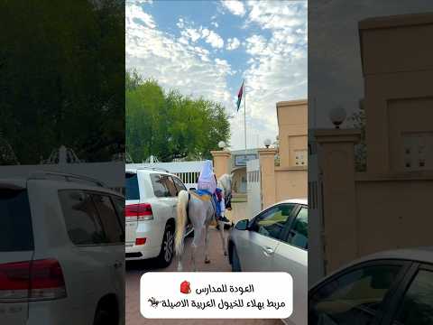 امتطت جوادها وانطلقت للمدرسة 🐎🇴🇲