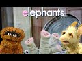 All The Sesame Street Home Videos Where Oscar S Pets Are Onscreen