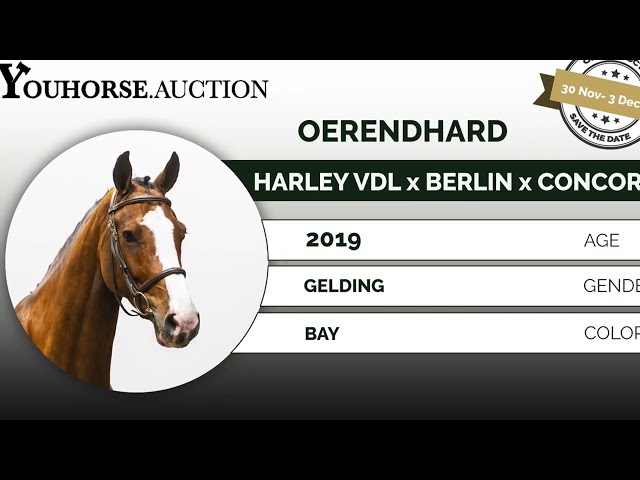 Oerendhard trainingsvideo