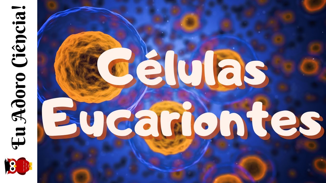 CITOLOGIA | Células Eucariontes (Célula, parte 2)