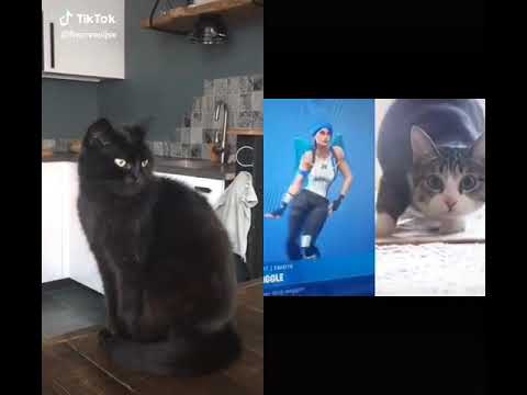 Wat nou wikkel wikkel