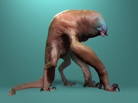 Livestream - Banana Slug