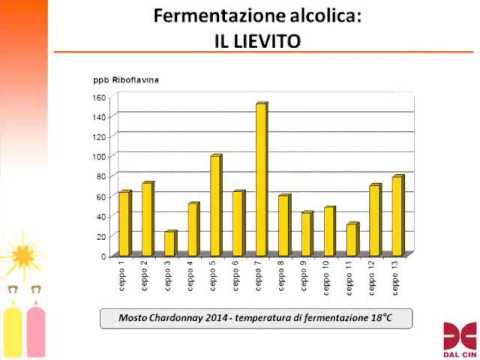 Maria Manara, Dal Cin Spa