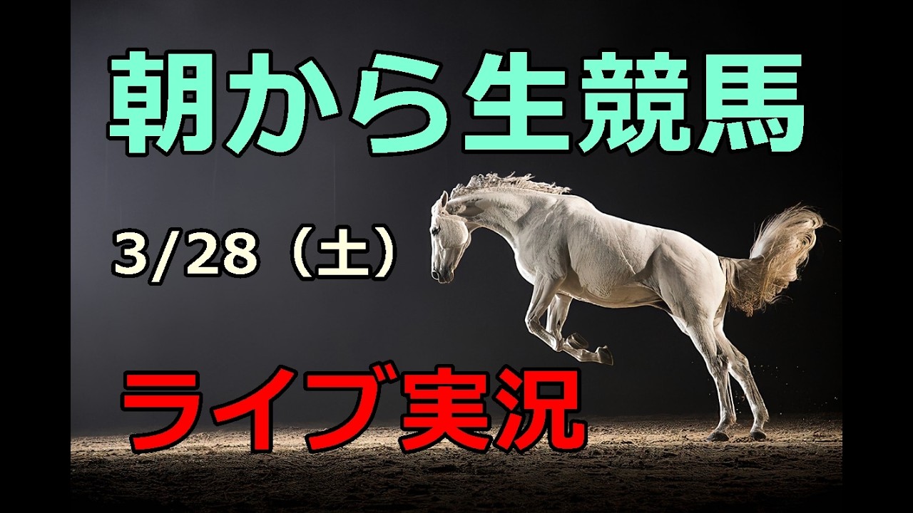 中央競馬【競馬実況】　生配信！！（中京、阪神、中山）