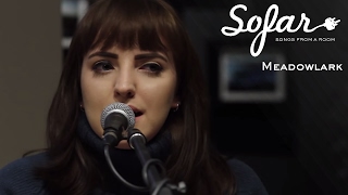 Meadowlark - Satellite | Sofar Bristol
