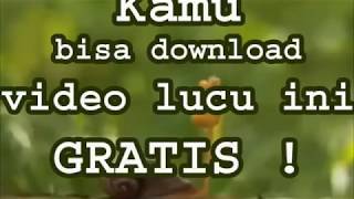 Download lagu Kamu Bisa Download Video Lucu 3gp Untuk HP ini GRATISSS! mp3