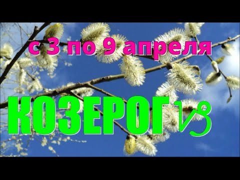 КОЗЕРОГ♑️с 3 по 9 апреля.