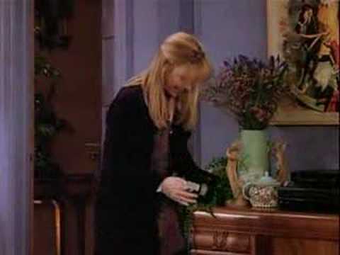 Gatto Rognoso By Phoebe